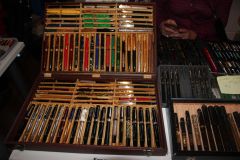 Bologna-2024-41 Bologna-2024-41