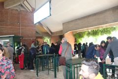 Mostra-Firenze-2023-30